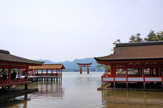 DSC00068.jpg